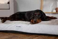 SCRUFFS Couchage orthopédique pour chien coloris marron Harvard - Taille XL 120 x 75 x 16 cm