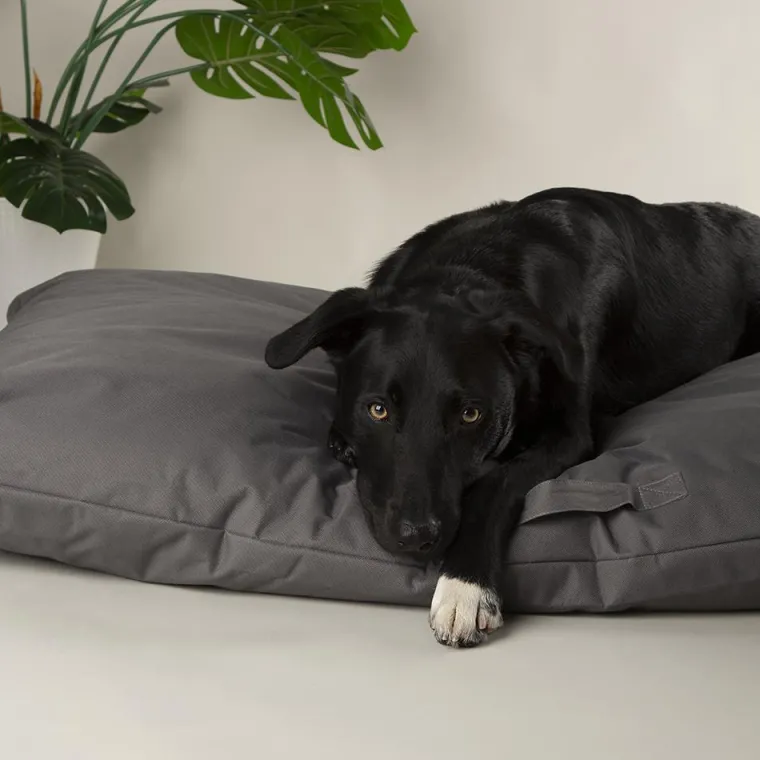 SCRUFFS Couchage pour chien coloris gris coussin imperméable Expédition - Taille L 100 x 70 cm