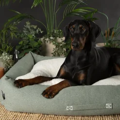 SCRUFFS Couchage pour chien coloris vert corbeille Eco Eden - Taille XL 90 x 70 cm