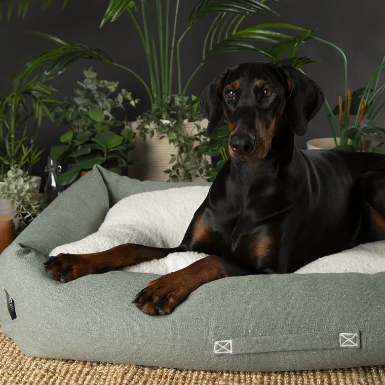 SCRUFFS Couchage pour chien coloris vert corbeille Eco Eden - Taille XL 90 x 70 cm