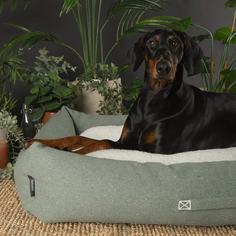 SCRUFFS Couchage pour chien coloris vert corbeille Eco Eden - Taille XL 90 x 70 cm