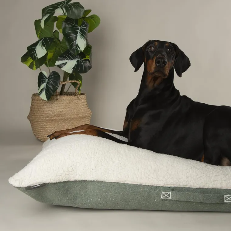 SCRUFFS Couchage pour chien coloris vert coussin Eco Eden - Taille L 100 x 70 cm