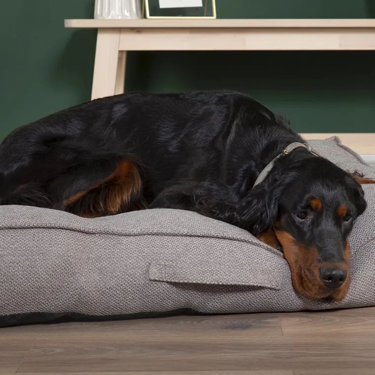 SCRUFFS Couchage pour chien coloris gris coussin Seattle - Taille L 100 x 70 x 14 cm