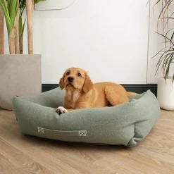 SCRUFFS Couchage pour chien coloris vert corbeille Eco Eden - Taille M 60 x 50 cm