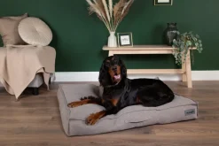 SCRUFFS Couchage pour chien coloris gris coussin Seattle - Taille M 80 x 60 x 14 cm