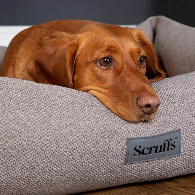 SCRUFFS Couchage pour chien coloris gris corbeille Ellen - Taille XL 90 x 70 x 18 cm