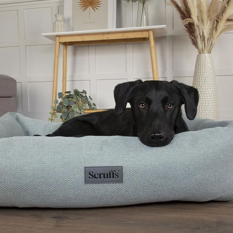SCRUFFS Couchage pour chien coloris vert corbeille Ellen - Taille M 60 x 50 x 16 cm