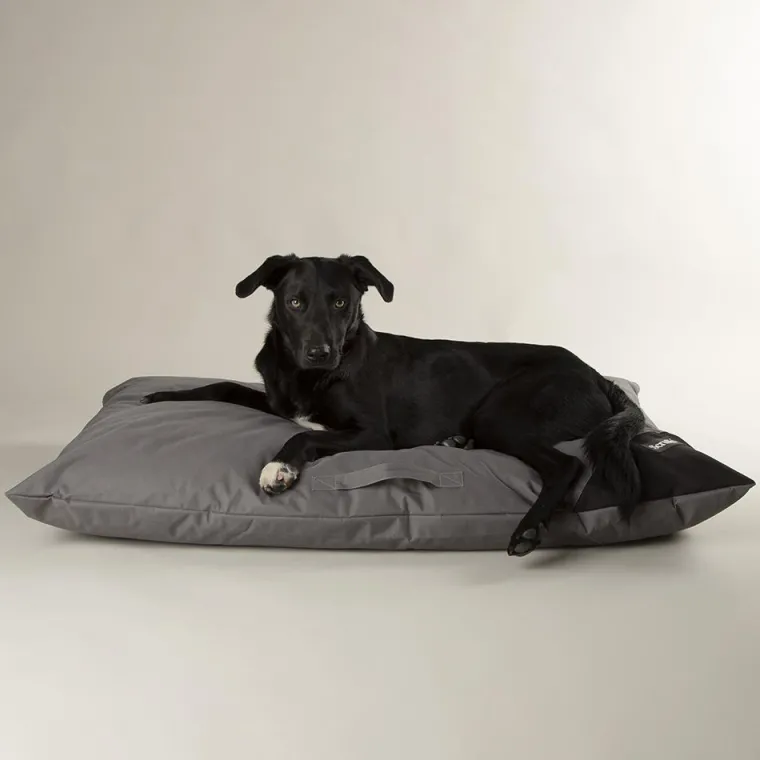 SCRUFFS Couchage pour chien coloris gris coussin imperméable Expédition - Taille XXL 140 x 100 cm
