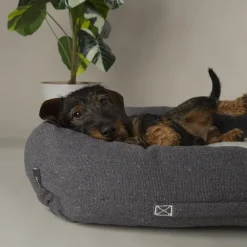 SCRUFFS Couchage pour chien coloris gris corbeille Eco Eden - Taille M 60 x 50 cm