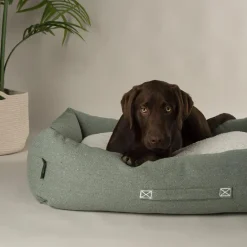 SCRUFFS Couchage pour chien coloris vert corbeille Eco Eden - Taille L 75 x 60 cm