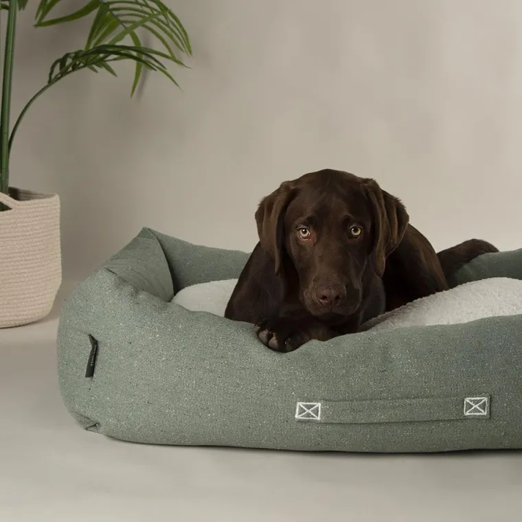 SCRUFFS Couchage pour chien coloris vert corbeille Eco Eden - Taille L 75 x 60 cm