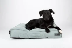 SCRUFFS Couchage pour chien coloris vert coussin Seattle - Taille M 80 x 60 x 14 cm