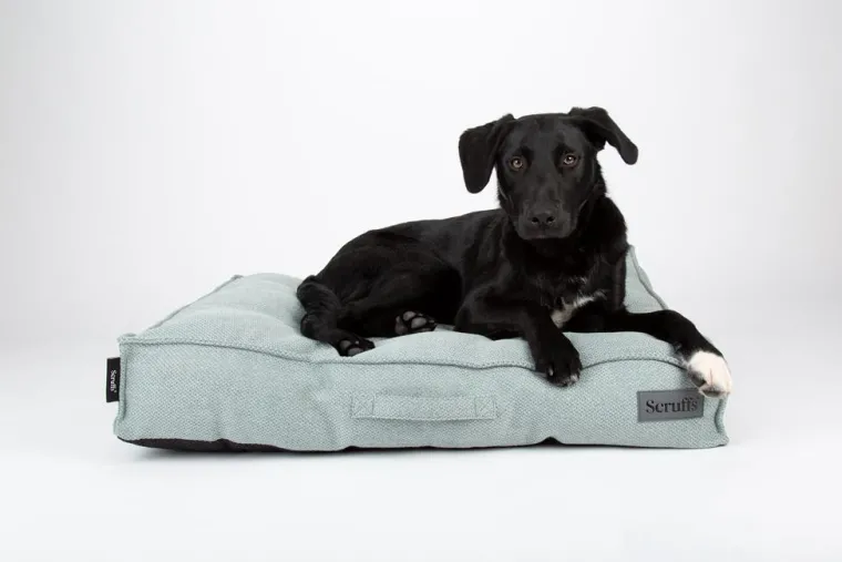 SCRUFFS Couchage pour chien coloris vert coussin Seattle - Taille M 80 x 60 x 14 cm