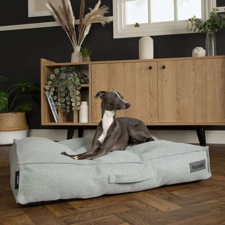 SCRUFFS Couchage pour chien coloris vert coussin Seattle - Taille M 80 x 60 x 14 cm
