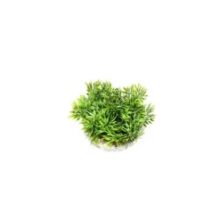 LABEO Coupe gazon vert en plastique Ø 9 cm