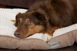 SCRUFFS Coussin pour chien beige Ellen - Taille M