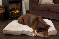 SCRUFFS Coussin pour chien beige Ellen - Taille M