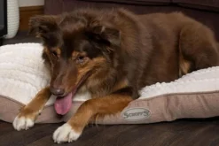 SCRUFFS Coussin pour chien beige Ellen - Taille M