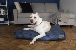 SCRUFFS Coussin pour chien bleu Kensington – Taille M