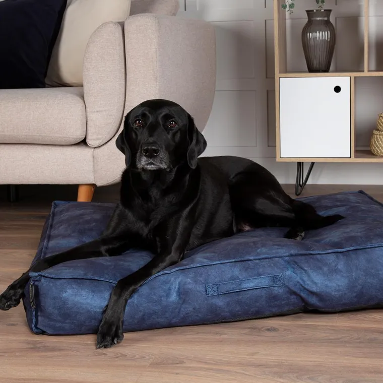 SCRUFFS Coussin pour chien bleu Kensington – Taille M