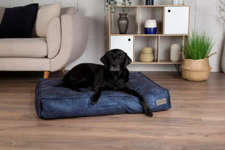 SCRUFFS Coussin pour chien bleu Kensington – Taille M