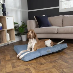 SCRUFFS Coussin pour chien bleu Manhattan - Taille M