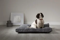 SCRUFFS Coussin pour chien gris foncé Manhattan – Taille M