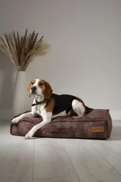 SCRUFFS Coussin pour chien marron Kensington – Taille M