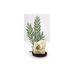 LABEO Céramique avec plante artificielle algue haute 28 cm