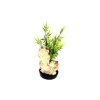 LABEO Céramique avec plante artificielle bambou 22 cm