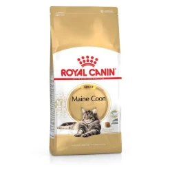 ROYAL CANIN Croquette pour chat adulte Maine Coon - 4 kg