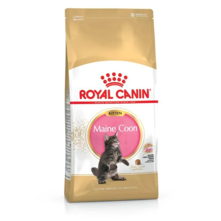 ROYAL CANIN Croquette pour chaton et chatte adulte en gestation Maine Coon - 2 kg