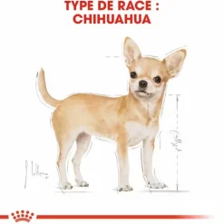 ROYAL CANIN Croquette pour chien adulte Chihuahua - 1,5 kg