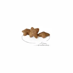 ROYAL CANIN Croquette pour chien adulte de petite taille - 4 kg
