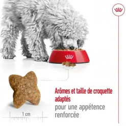 ROYAL CANIN Croquette pour chien adulte de petite taille - 4 kg