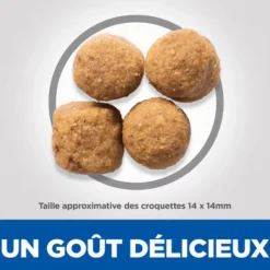 HILL'S Croquette pour chien adulte grande race au poulet - 12 kg