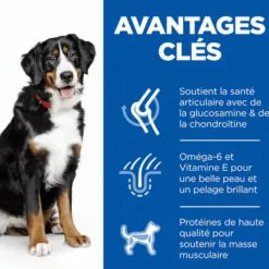 HILL'S Croquette pour chien adulte grande race au poulet - 12 kg