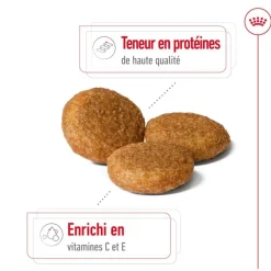 ROYAL CANIN Croquette pour chien adulte de taille moyenne - 15 kg