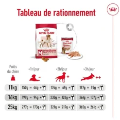 ROYAL CANIN Croquette pour chien adulte de taille moyenne - 15 kg