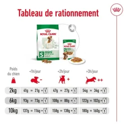 ROYAL CANIN Croquette pour chien adulte de petite taille - 2 kg