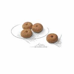 ROYAL CANIN Croquette pour chien adulte stérilisé - 8 kg
