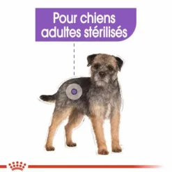 ROYAL CANIN Croquette pour chien adulte stérilisé - 8 kg