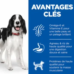 HILL'S Croquette pour chien adulte de taille moyenne au poulet et riz - 2,5 kg