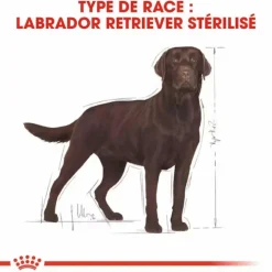 ROYAL CANIN Croquette pour chien adulte stérilisé Labrador - 12 kg