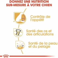 ROYAL CANIN Croquette pour chien adulte stérilisé Labrador - 12 kg