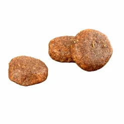 SA VRAIE NATURE Croquette pour chien adulte au saumon et au hareng - 2,5 kg