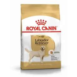 ROYAL CANIN Croquette pour chien adulte Labrador Retriever - 12 kg