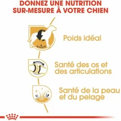 ROYAL CANIN Croquette pour chien adulte Labrador Retriever - 12 kg