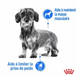 ROYAL CANIN Croquette pour chien adulte de petite taille light weight care - 3 kg