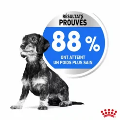 ROYAL CANIN Croquette pour chien adulte de petite taille light weight care - 3 kg